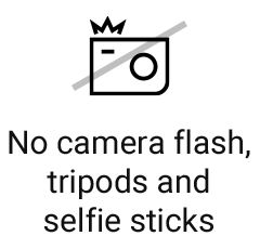 No camera flash, tripods and selfie sticks